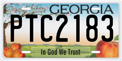 GA license plate PTC2183