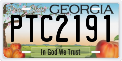 GA license plate PTC2191