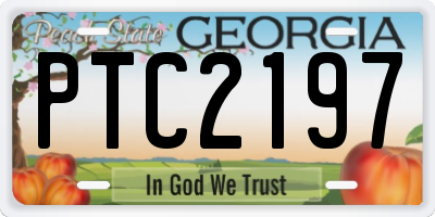 GA license plate PTC2197
