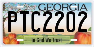 GA license plate PTC2202