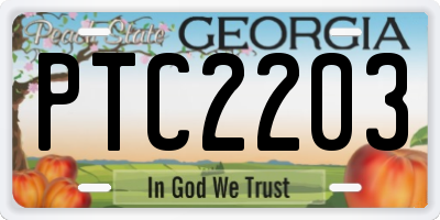 GA license plate PTC2203