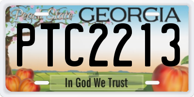 GA license plate PTC2213
