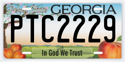 GA license plate PTC2229