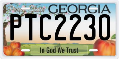 GA license plate PTC2230