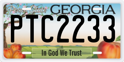 GA license plate PTC2233