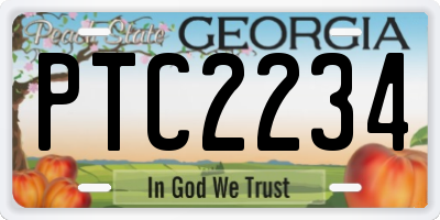 GA license plate PTC2234