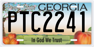 GA license plate PTC2241
