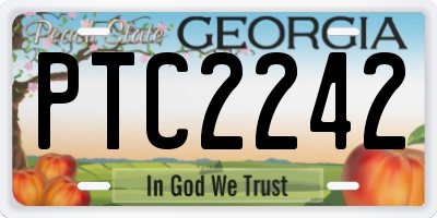 GA license plate PTC2242