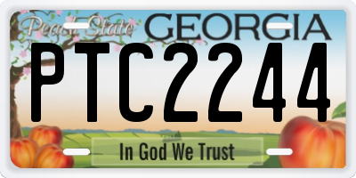 GA license plate PTC2244