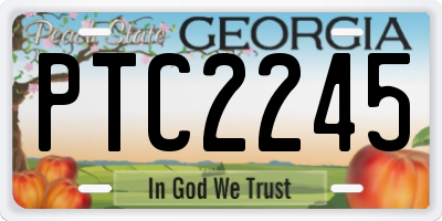GA license plate PTC2245
