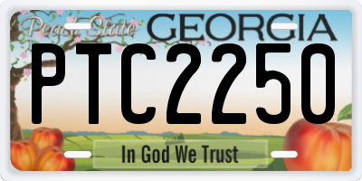 GA license plate PTC2250