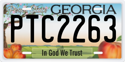 GA license plate PTC2263