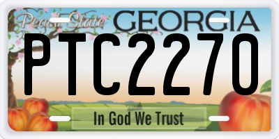 GA license plate PTC2270