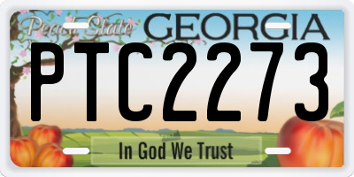 GA license plate PTC2273