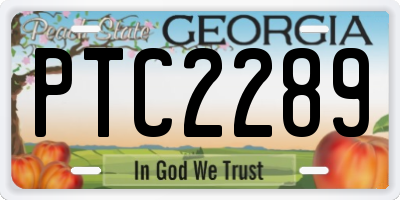 GA license plate PTC2289