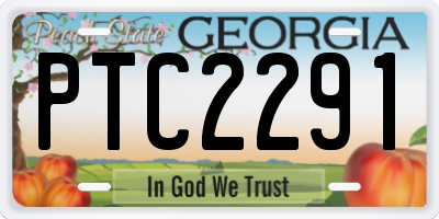 GA license plate PTC2291