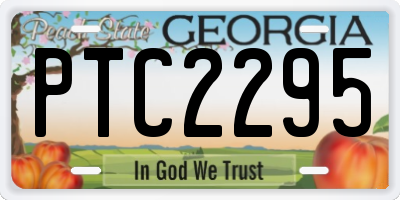 GA license plate PTC2295