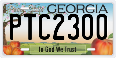 GA license plate PTC2300