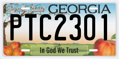 GA license plate PTC2301