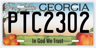 GA license plate PTC2302