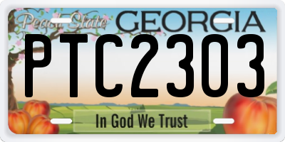 GA license plate PTC2303