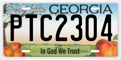 GA license plate PTC2304