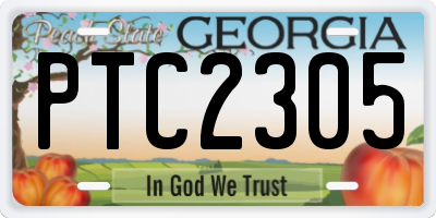 GA license plate PTC2305