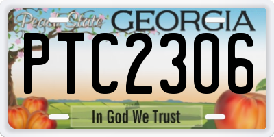 GA license plate PTC2306