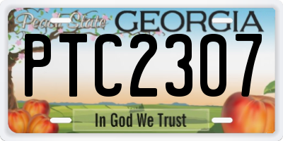 GA license plate PTC2307