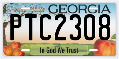 GA license plate PTC2308