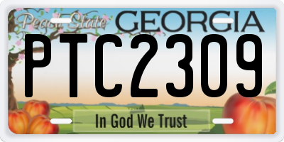 GA license plate PTC2309