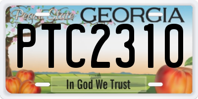 GA license plate PTC2310