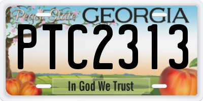 GA license plate PTC2313