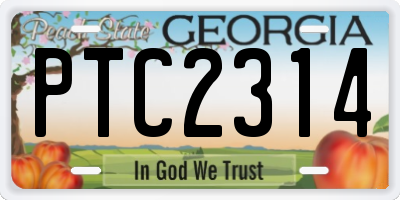 GA license plate PTC2314