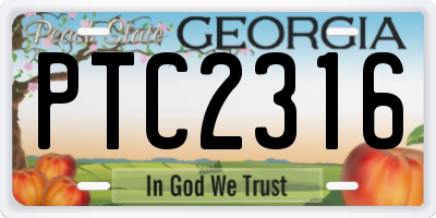 GA license plate PTC2316
