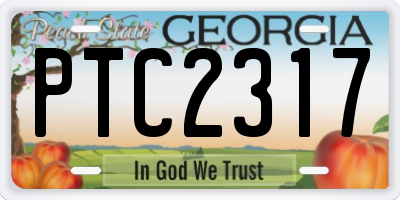 GA license plate PTC2317