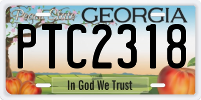 GA license plate PTC2318