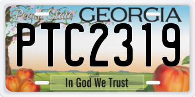 GA license plate PTC2319