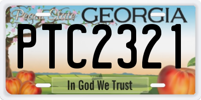 GA license plate PTC2321