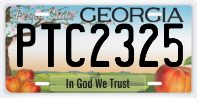GA license plate PTC2325