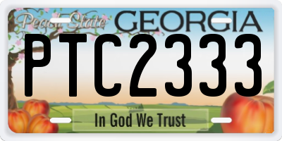 GA license plate PTC2333