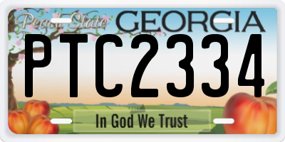 GA license plate PTC2334