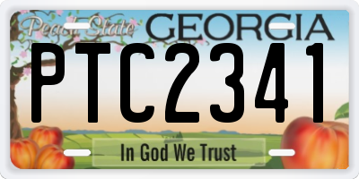 GA license plate PTC2341