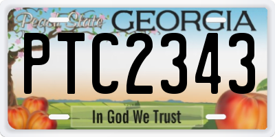 GA license plate PTC2343