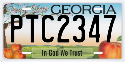 GA license plate PTC2347