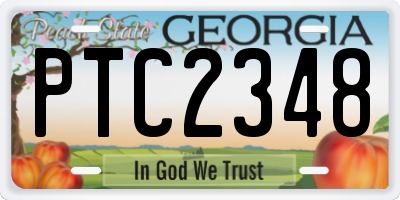 GA license plate PTC2348