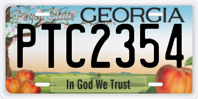 GA license plate PTC2354