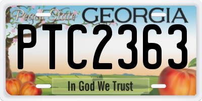 GA license plate PTC2363