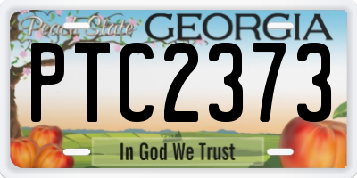 GA license plate PTC2373