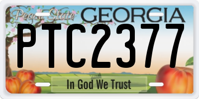 GA license plate PTC2377